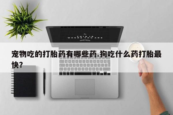 私人卖打胎药的联系方式微信宠物吃的打胎药有哪些药.狗吃什么药打胎最快？