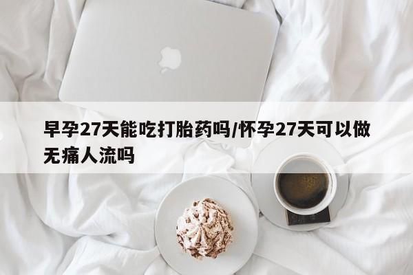 私人卖打胎药的联系方式微信早孕27天能吃打胎药吗/怀孕27天可以做无痛人流吗