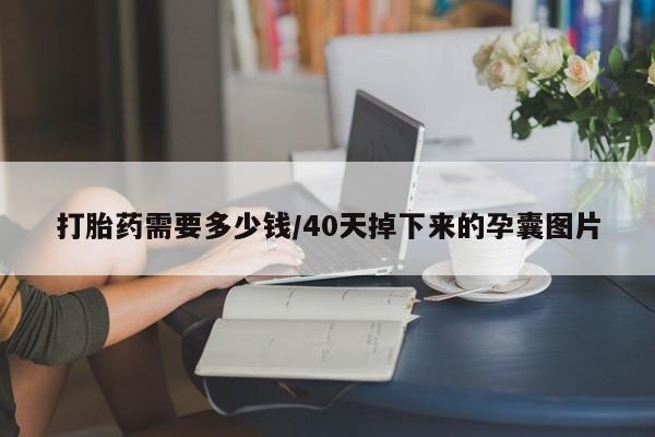 私人卖打胎药的联系方式微信打胎药需要多少钱/40天掉下来的孕囊图片